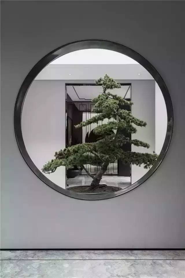 中国人的院子,中国人的院子深度解析