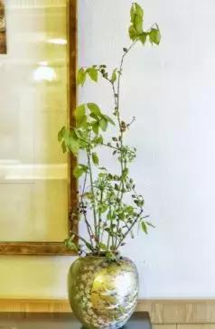 指间自由花艺，为己而生的匠心|匠人采访