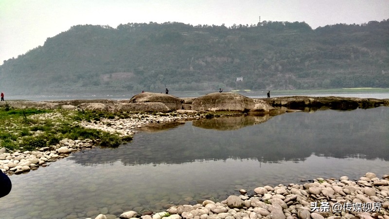 自驾游江津石蟆中坝岛,江津石蟆中坝岛甘蔗林