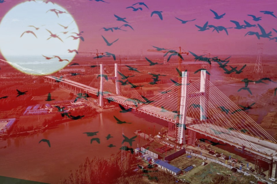 年的由来故事简短,了解年的来历和关于年的小故事