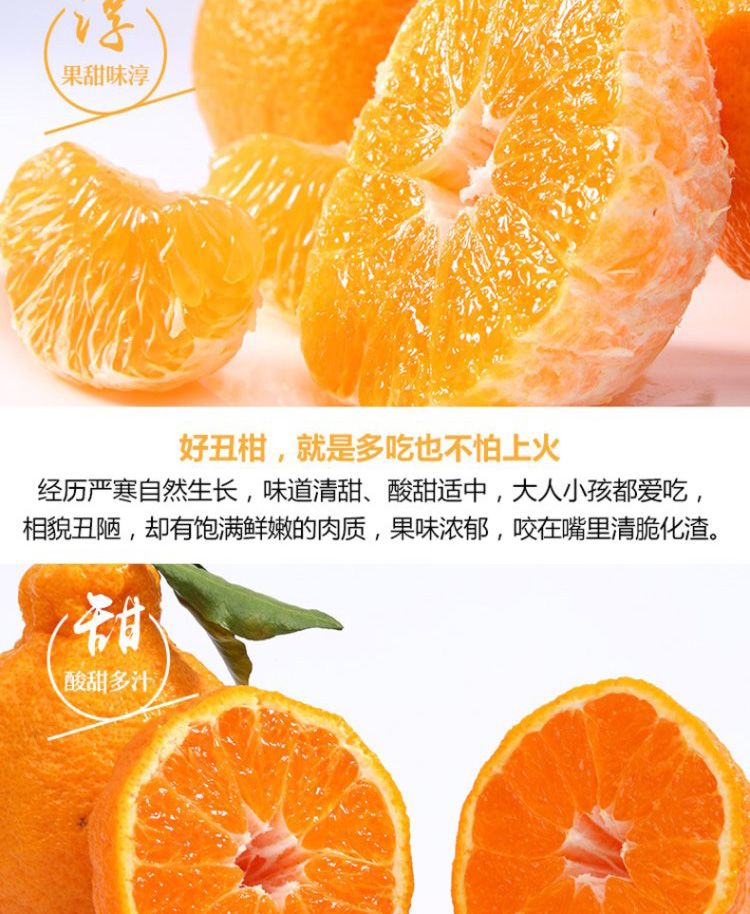 新鲜特价丑橘四川耙耙柑,四川丑橘新鲜耙耙柑