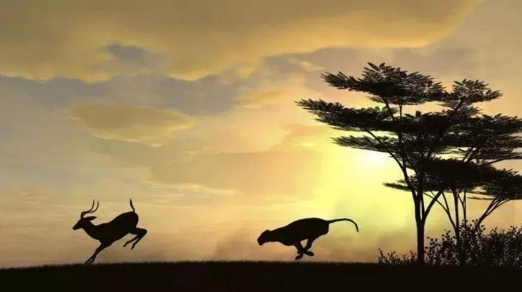 一位顶级操盘高手谈交易经验,四位顶尖交易者的操盘真经