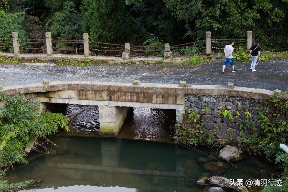 四川天然氧吧旅游推荐,四川天然氧吧有哪些地方