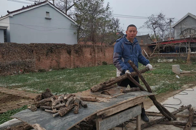 废木回收能做吗,废木回收后可以做什么原料