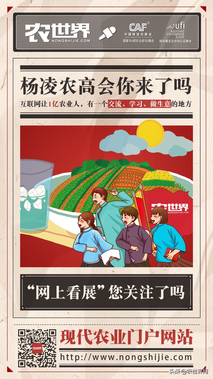 大北农国家控股,大北农能成为全球第一科技企业吗