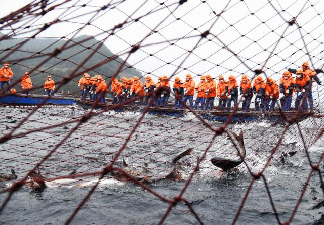 浙江人第一印象,浙江人的特色