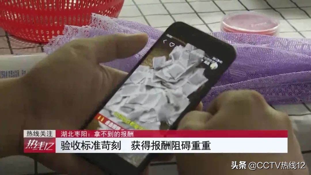 在家代工包装茶能月入过万?男子拖家带口干了一星期,仅收到100余元