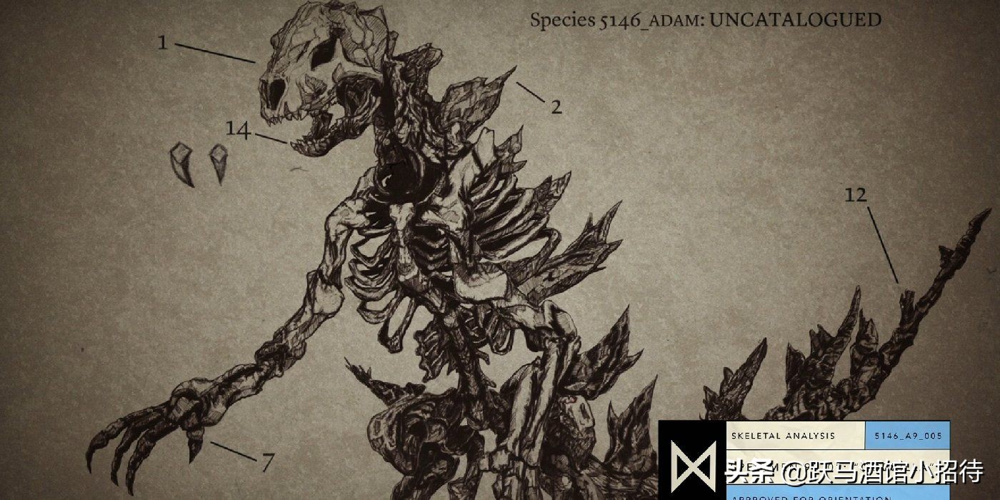 金刚大战哥斯拉怪兽电影解析,金刚哥斯拉大战怪兽