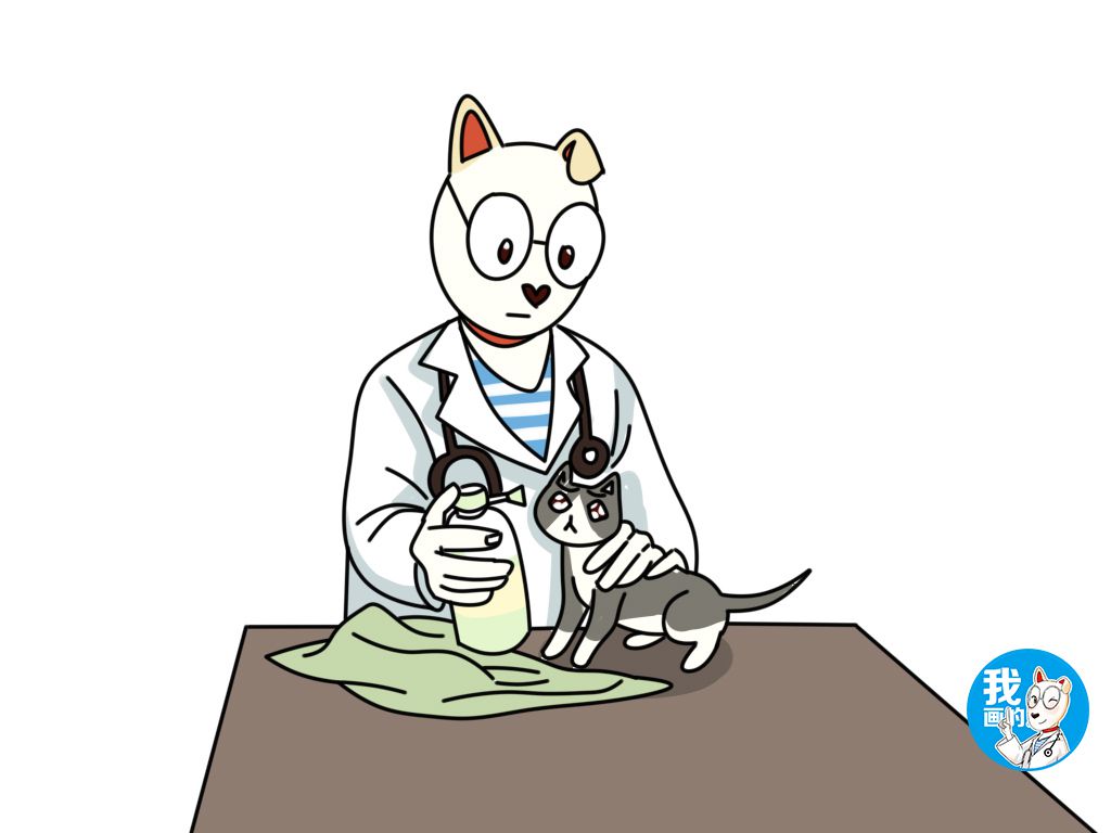 辟谣：驱虫针和驱虫项圈，这些网红产品真的有奇效？别交智商税了