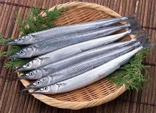 宁波一渔民整理海鲜大全,宁波最全的海鲜