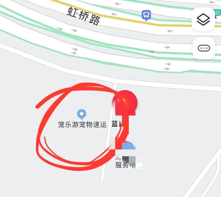 金毛siri被无良商家托运真实视频,金毛被主人丢弃了真是太可怜了