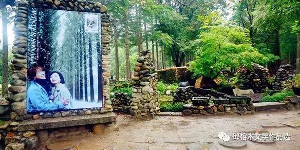 韩国游记完整版视频,韩国游记小说