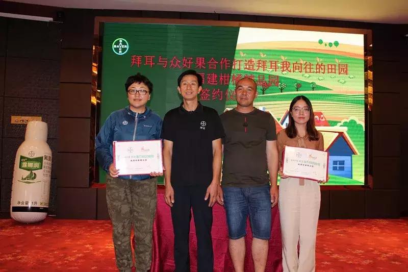 特早蜜桔果园,宜昌现在特早蜜桔行情