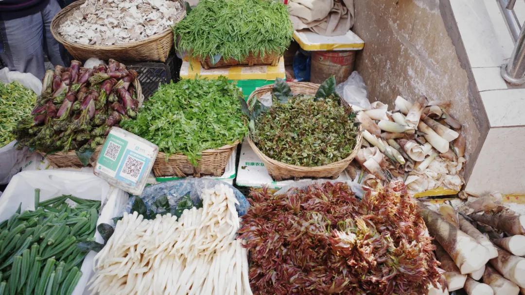 出发四季如春之地昆明,云南昆明攻略冬天