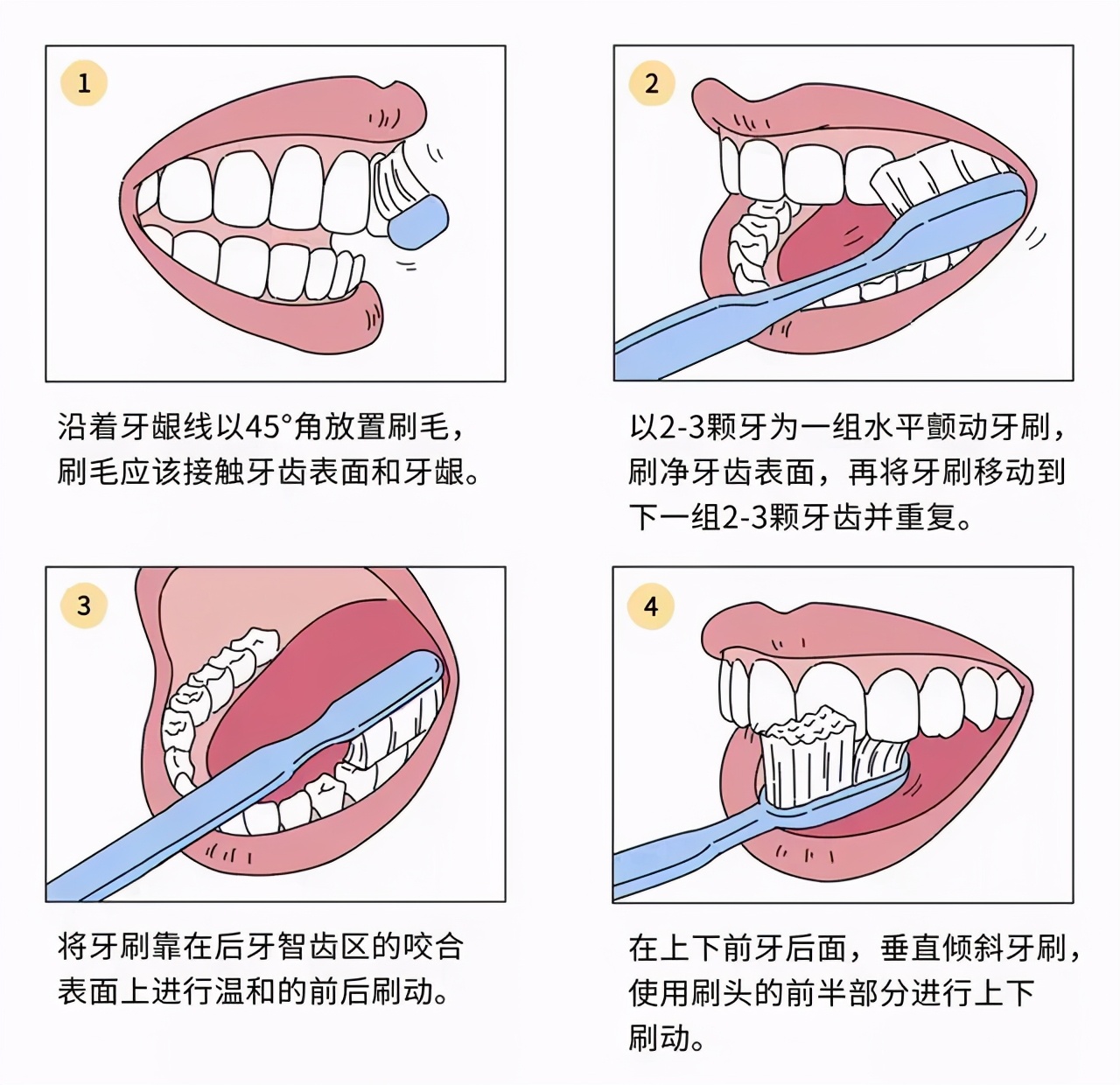 刚开始给宝宝刷牙用什么样的牙刷,宝宝用哪种牙刷刷牙比较好