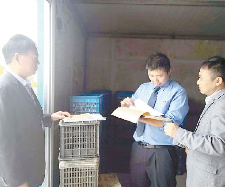 刘涛一谈胡歌就笑颜如花,青春灿烂如花刘涛