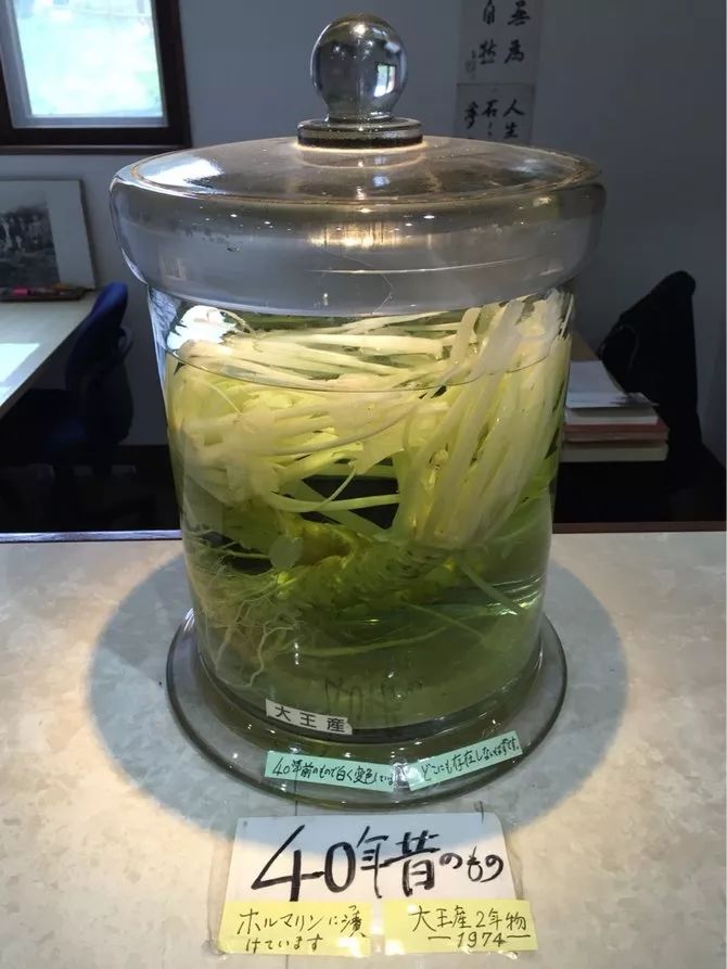 25亩荒地居然年游客竟然超过100万