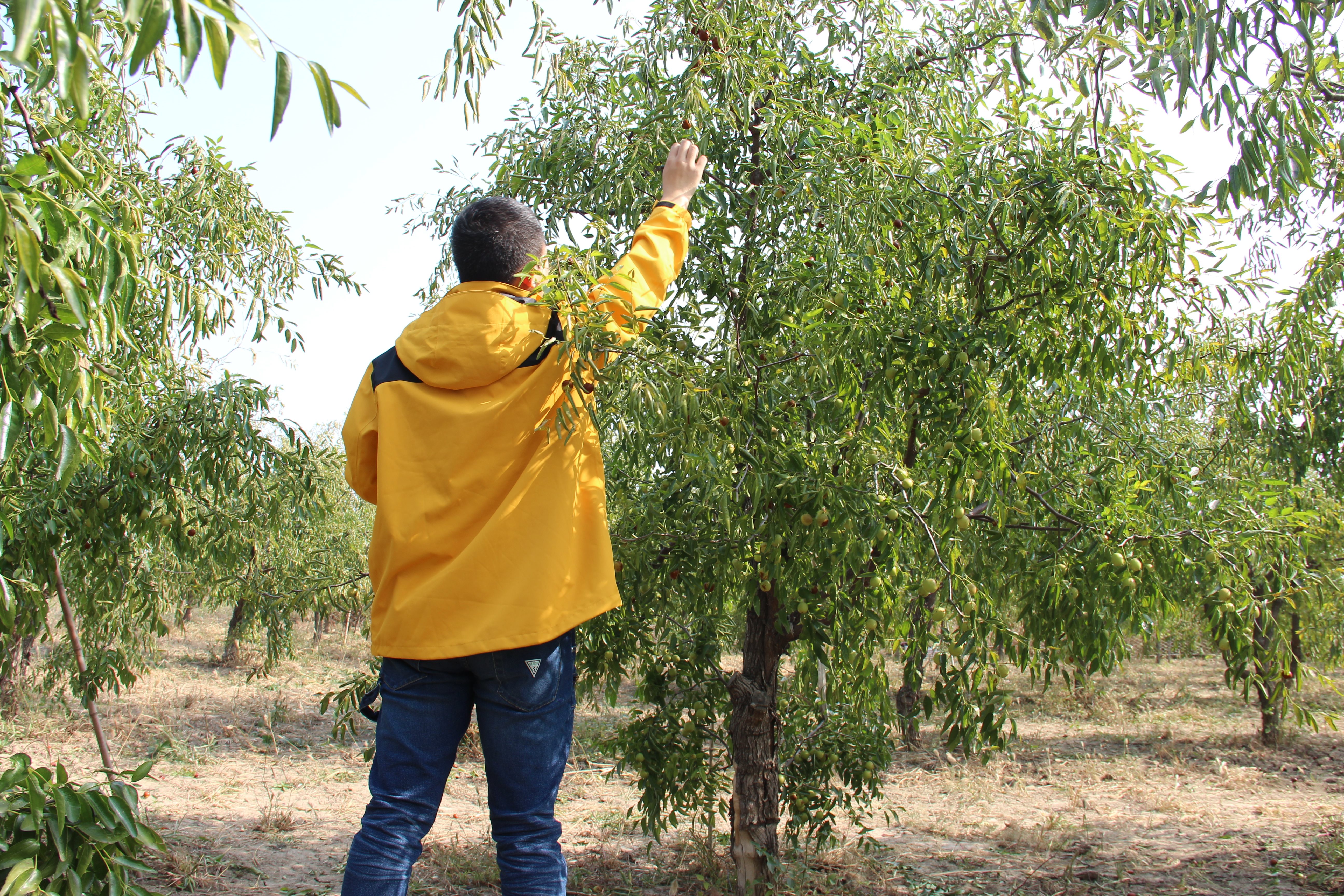 沙乐华明星同款冲锋衣,沙乐华和哥伦比亚冲锋衣哪个好