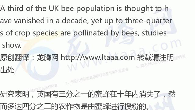 「龙腾网」英国政府允许农民使用欧盟禁止的危害蜜蜂的杀虫剂
