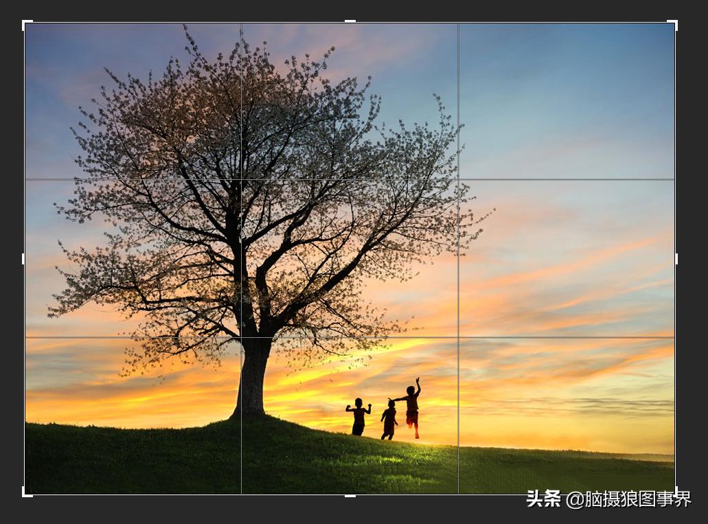 摄影中的三分法运用技巧,三分法构图如何选择拍摄内容