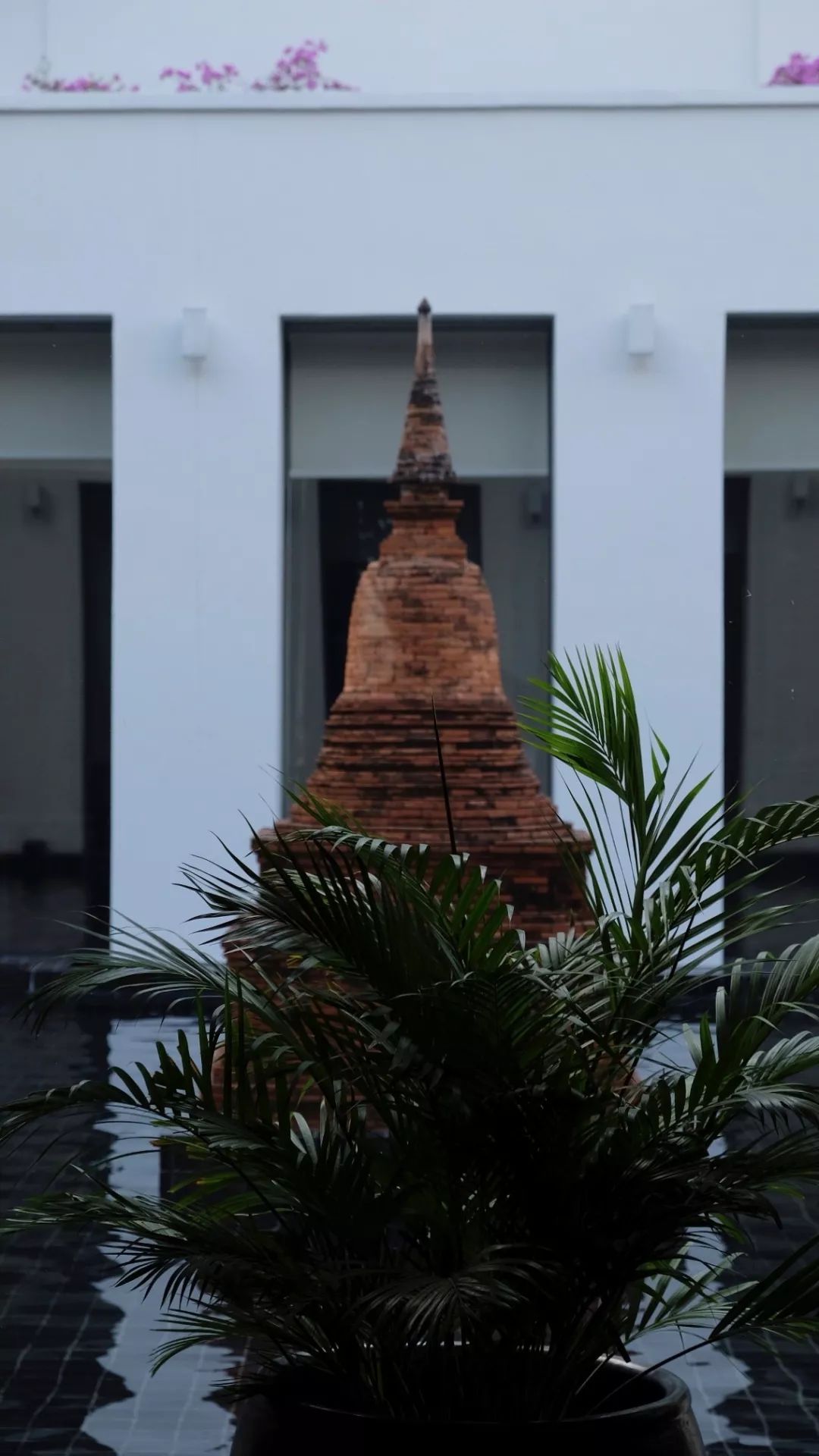 泰国自由行攻略详细版 (泰国自由行攻略最详细价格)