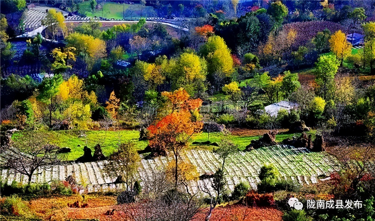 笔端的全部小说,笔端小说合集