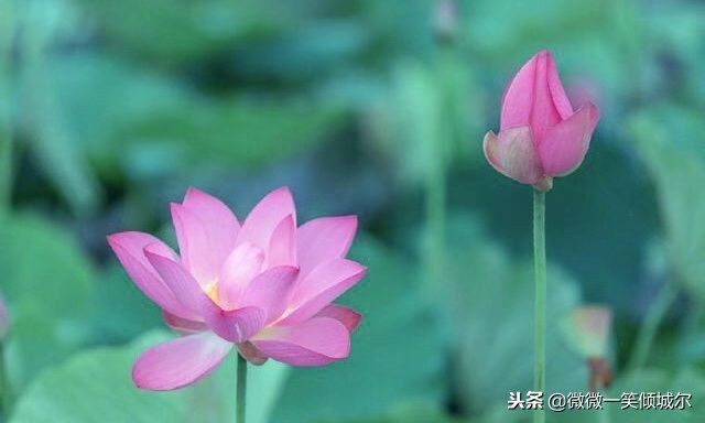 智慧语录，哲学语录，短句子也适合做签名，发朋友圈，高格调！