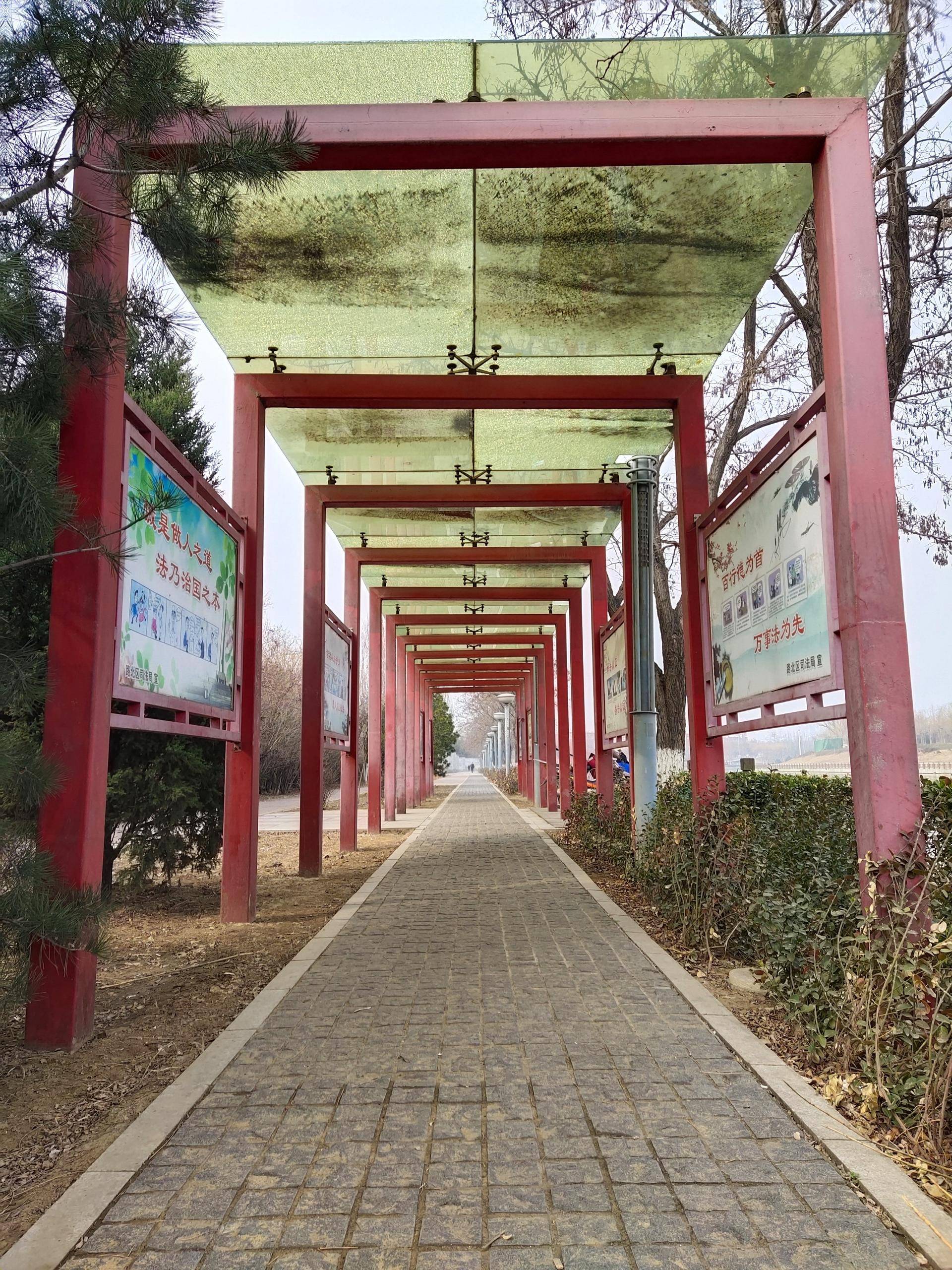 vivoz6上手测评,vivoz6手机优缺点评测