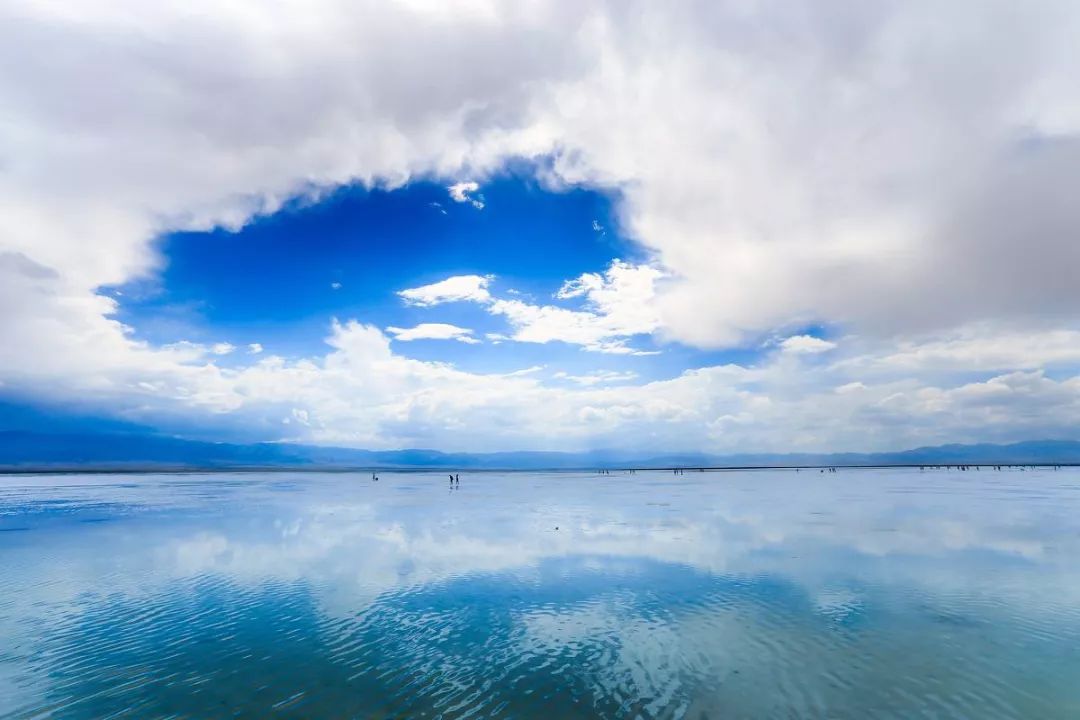 山东凤祥集团刘志光是什么职务,凤祥集团刘志光现在的情况咋样