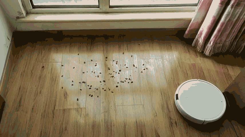 铲屎官不再抓耳挠腮的福利,千元扫地机器人小狗R30上手体验