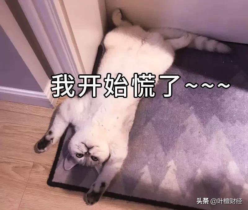 不能错过分析师深刻反思我为什么错过了这家好公司？|檀公司