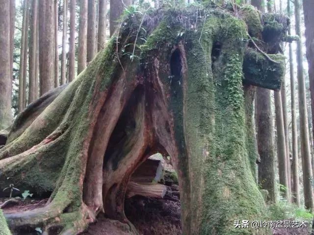 中国十大千年古寺古刹之首,中国十大千年古尸容貌复原成功