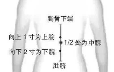 一夜春雨万物醒,一夜春雨滋润万物