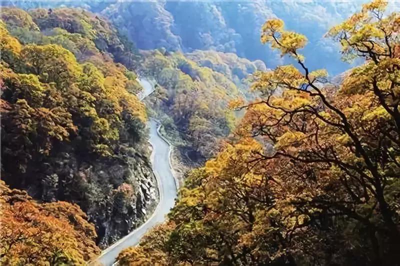 安徽赏秋的好乡村,安徽秋天去哪里赏秋最好