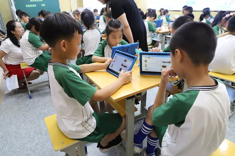 教育魔方浙江,教育魔方是什么