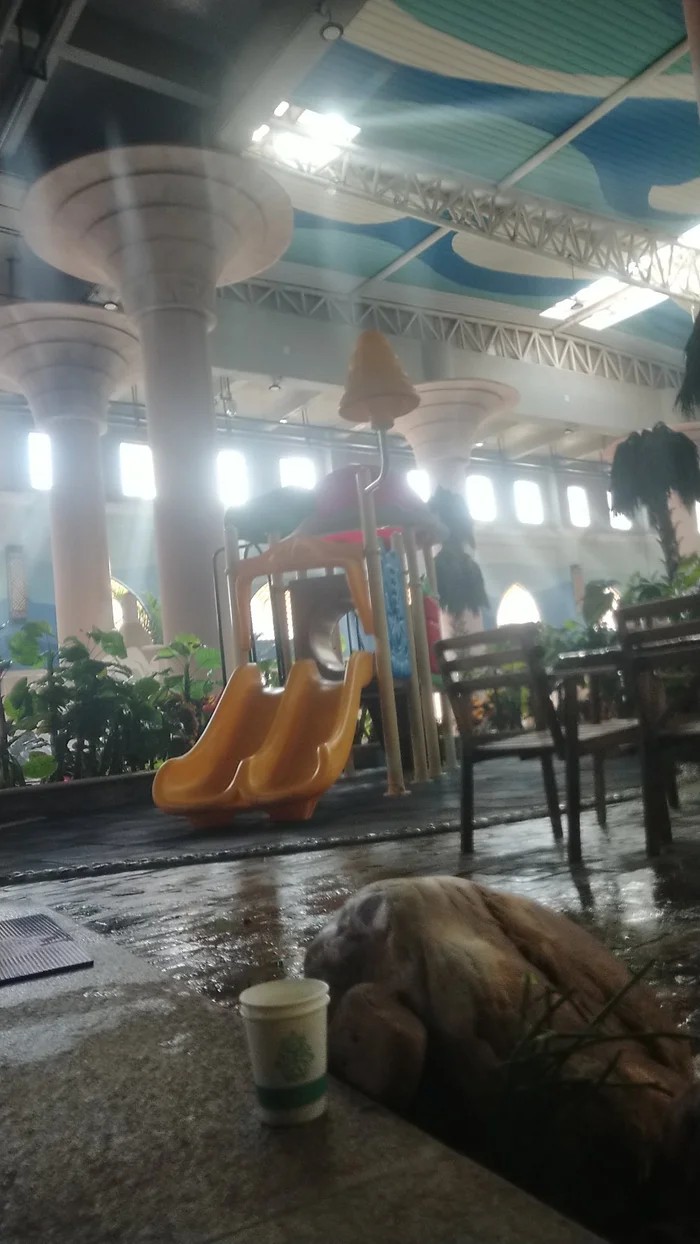 阜新温泉斯帕小镇民宿,阜新宝地斯帕温泉票价