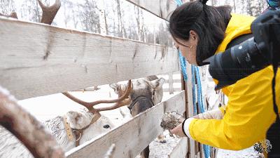 萨米人的历史,欧洲最后的土著
