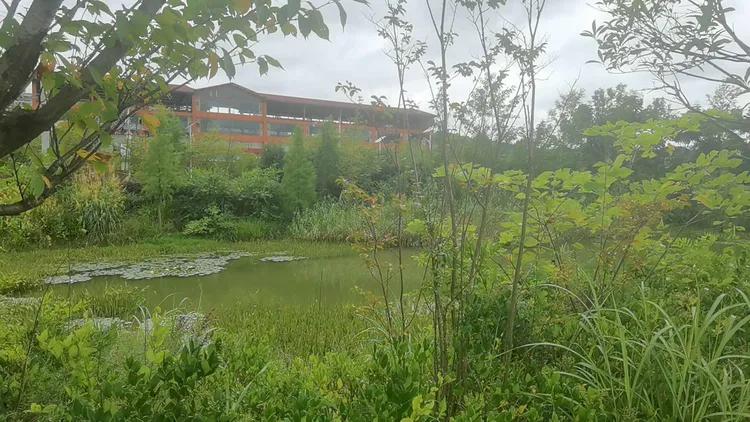 贵州蓬莱仙界旅游攻略,白云区蓬莱仙界景点介绍