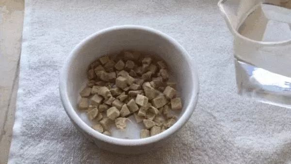 一定要喂猫咪吃冻干的理由！这样吃效果最佳，远胜干湿粮