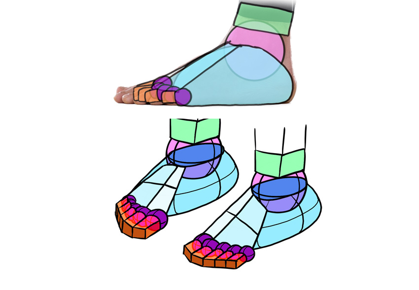 美术人体腿部教学视频,脚部结构绘画教程