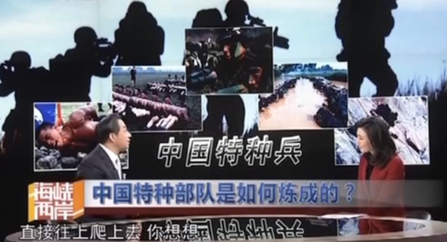 李红最真实的照片,李红被称为央视颜霸