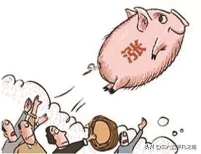 飞天猪2019年,飞天猪最新新闻