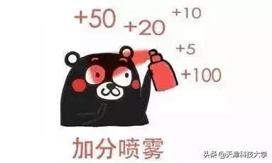 2019年3月计算机等级考试时间,计算机考试准考证打印不了怎么办