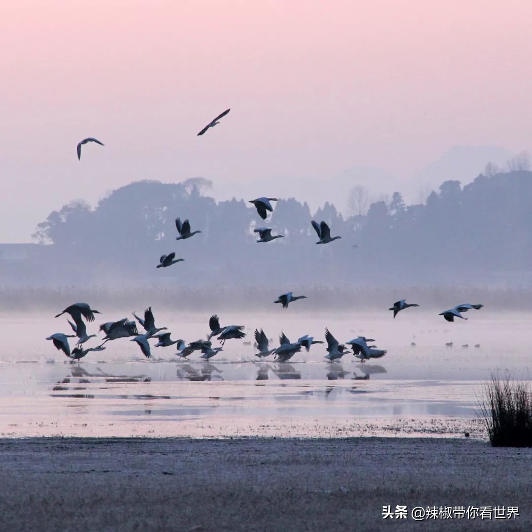 从西到东:贵州——沿河流“黔”行在这里一万种辣椒吃法向你奔来