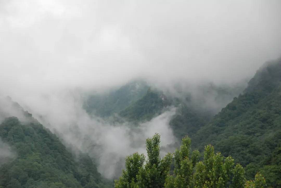 南阳有山有水有景区,南阳市区内有哪些风景旅游区
