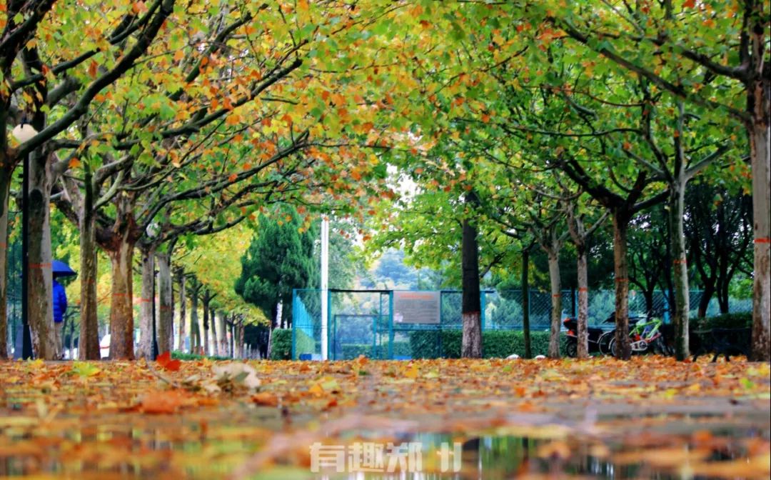 水上咖啡厅考校训、艺林曲艺社论节操,原来你是这样的*达升**