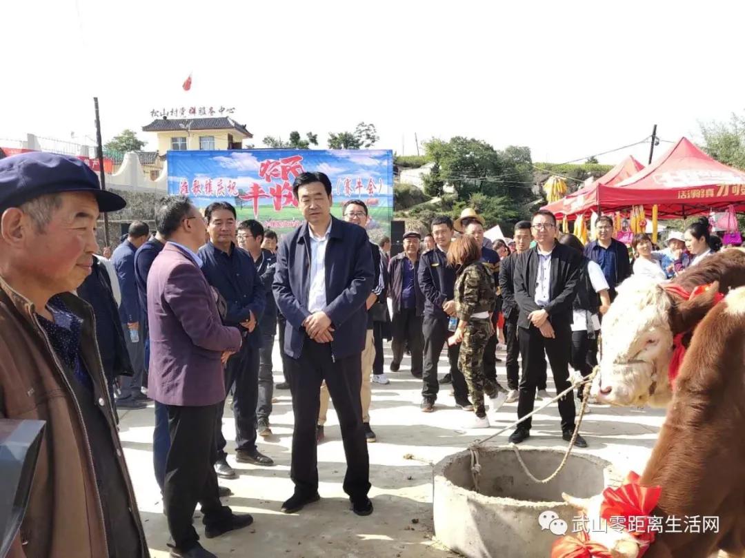 滩歌镇2020年中国农民丰收节暨消费扶贫月启动