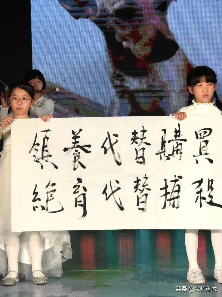 领养动物代替购买,关爱流浪动物让领养代替购买