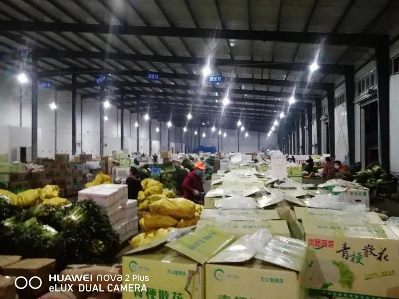 【战疫行动】黄州人,你下单代购的蔬果都是从哪里、怎么来的?——保供“战场”系列报道(四)