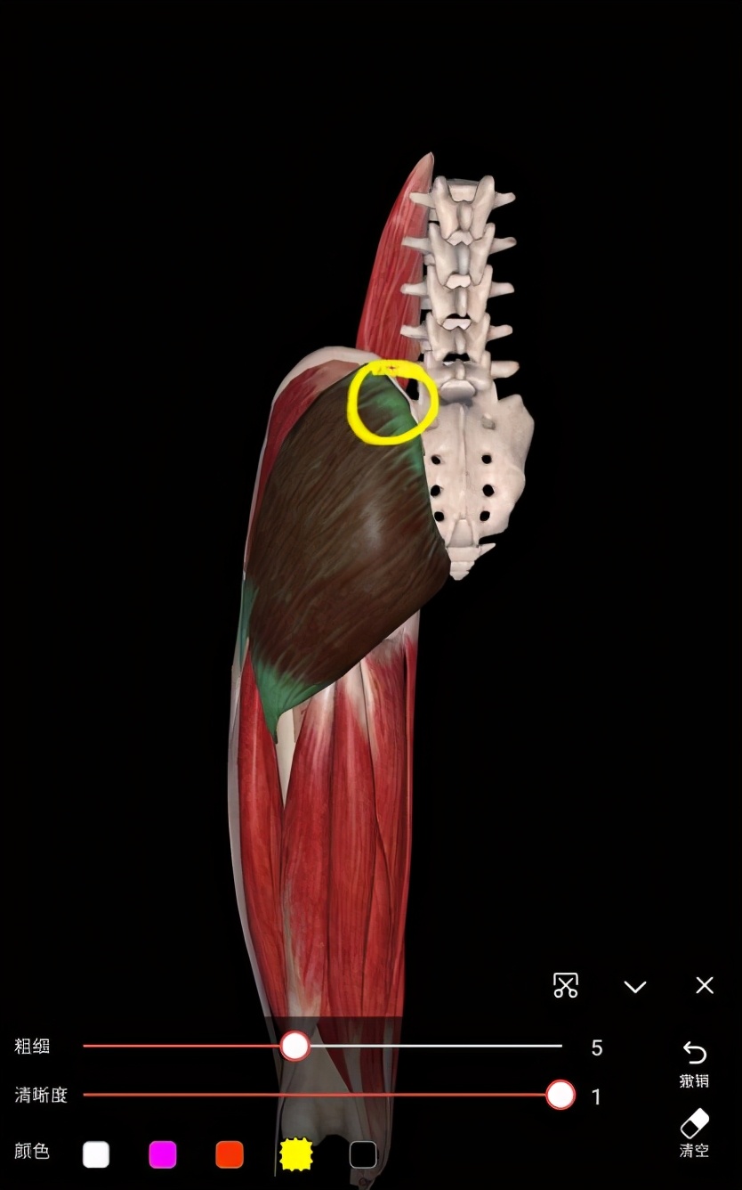 久坐之后感觉腰不舒服怎么缓解,久坐后腰部隐隐作痛